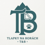 gemini generated image mv09somv09somv09